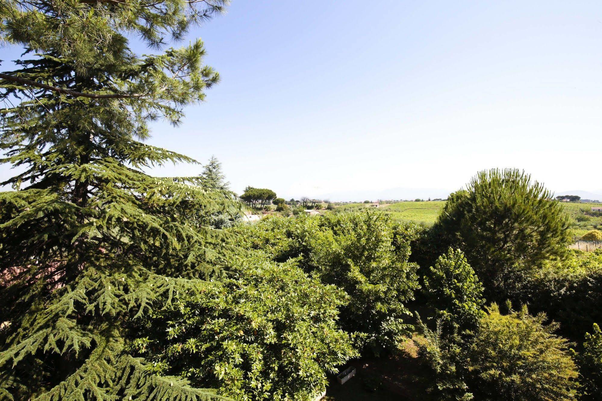 Hotel Villa Maria Luigia Frascati Dış mekan fotoğraf