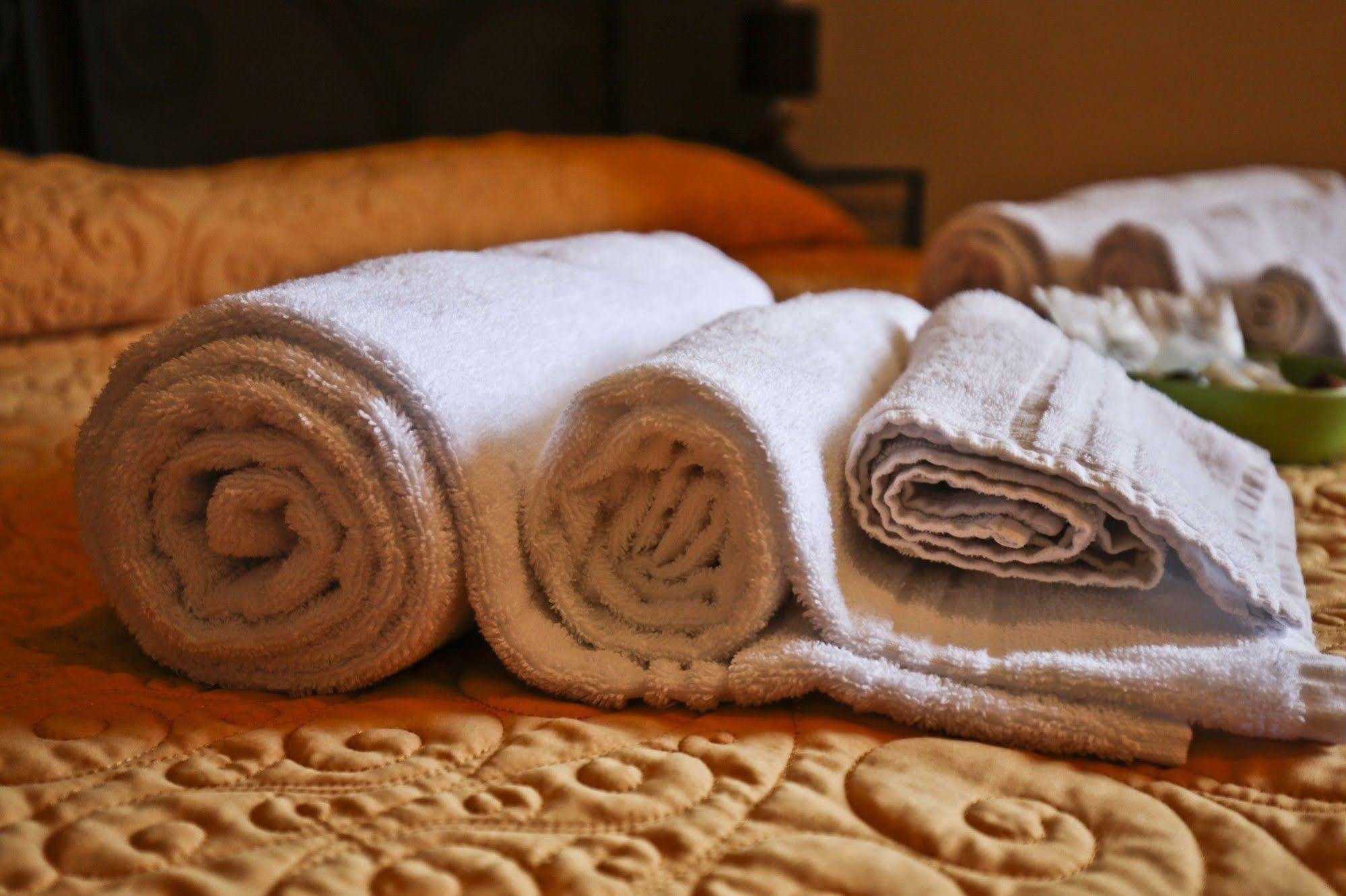 Hotel Villa Maria Luigia Frascati Dış mekan fotoğraf
