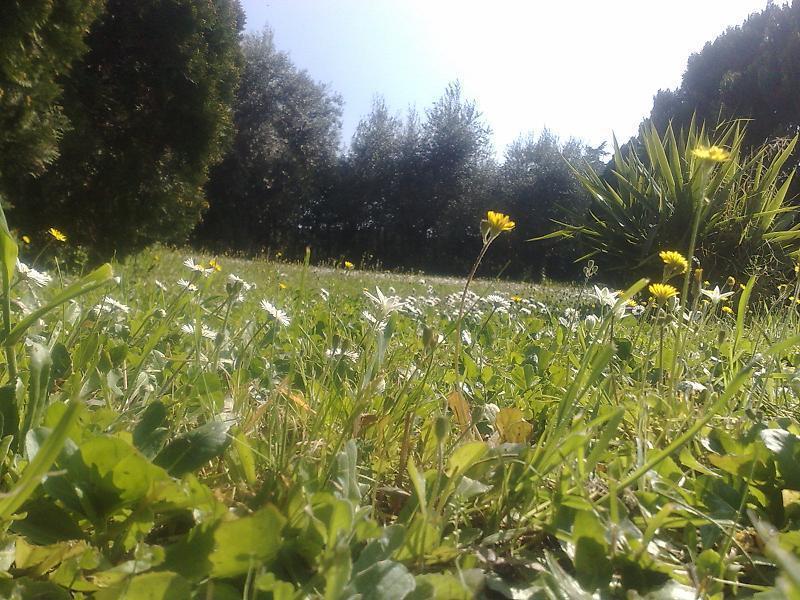 Hotel Villa Maria Luigia Frascati Dış mekan fotoğraf