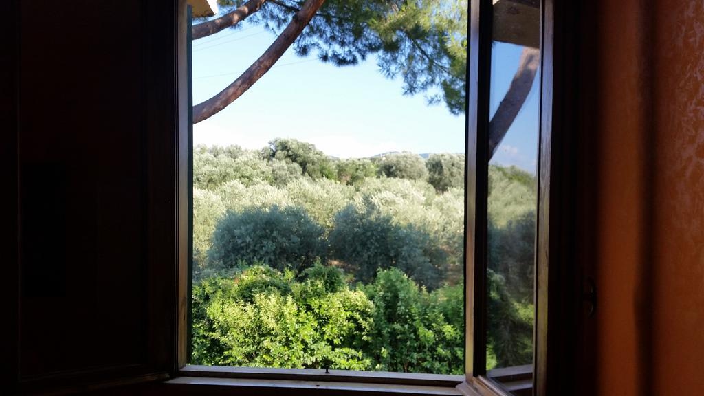 Hotel Villa Maria Luigia Frascati Oda fotoğraf